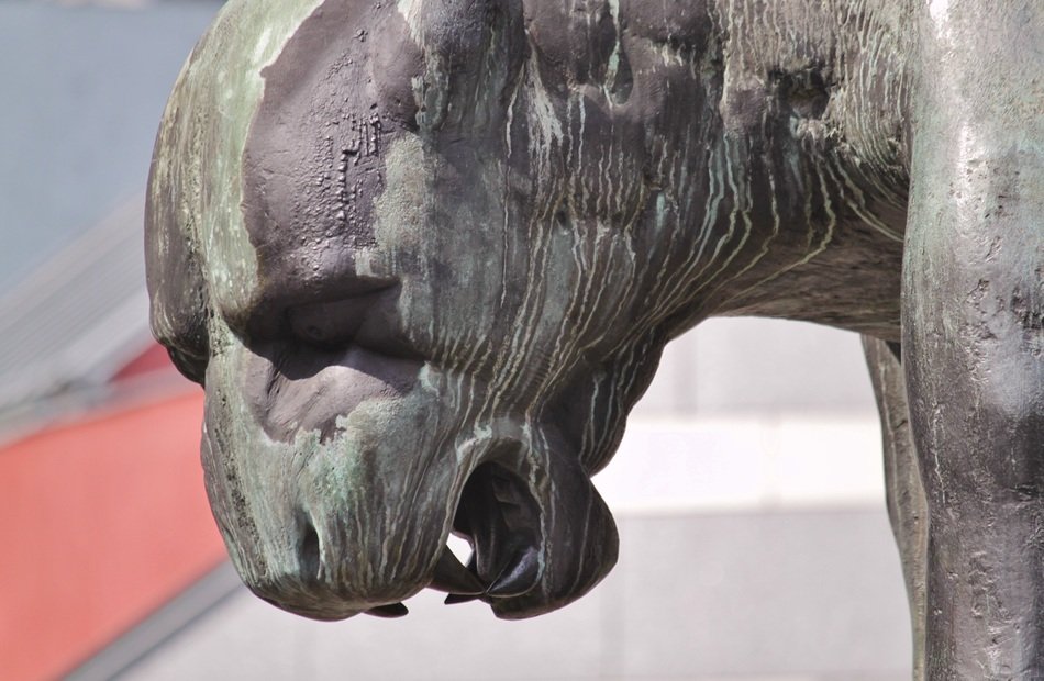 portrait of head of a bronze sculpture of a predatory mythical creature