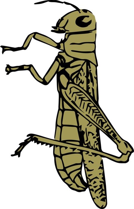 clipart of painted dark green grasshopper