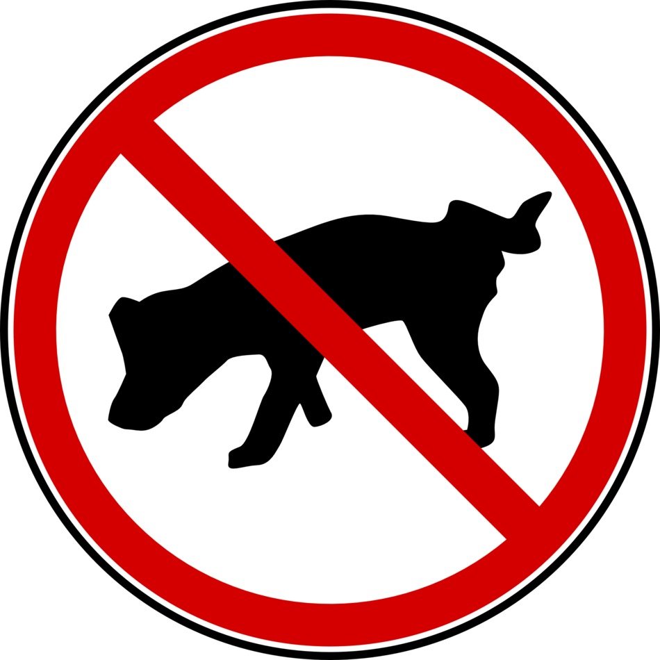 dog ban sign