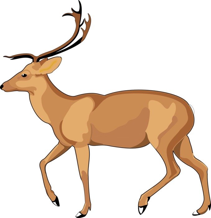 Deer Brown Walking drawing free image download