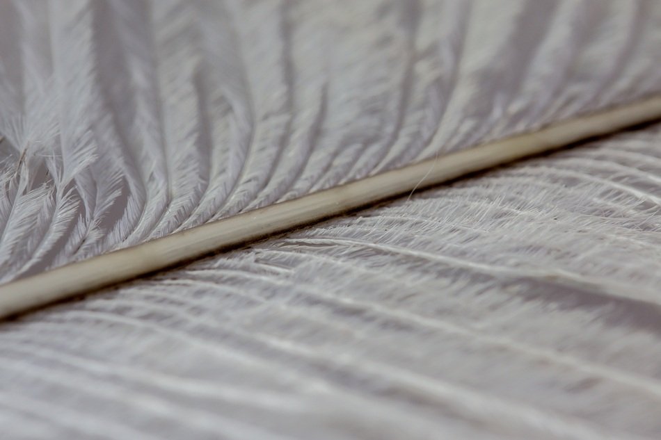 Texture with strauss spring