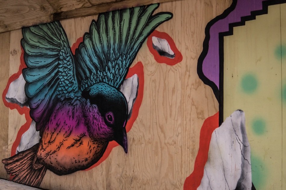 colored bird graffiti