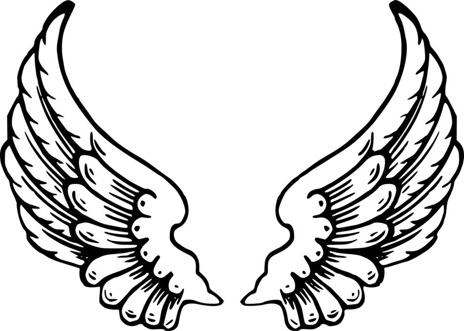 İllustration of Angel Wings