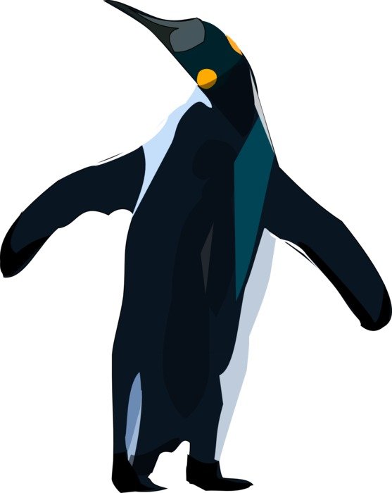 Beautiful penguin drawing clipart