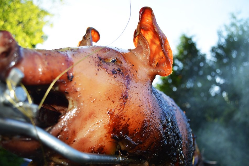 roasted piglet head close up