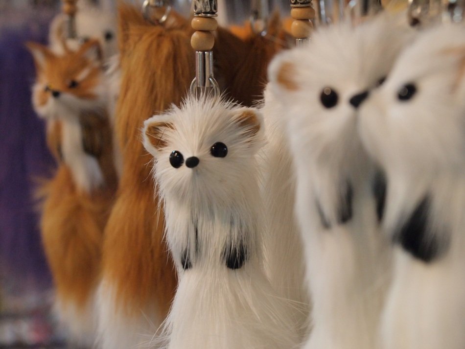 rodents as a Souvenirs in a shop