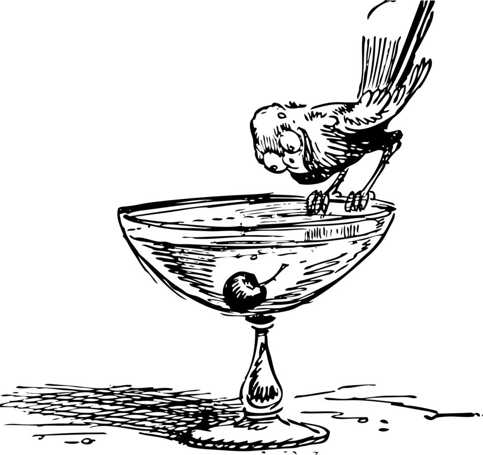 painted bird on the glass
