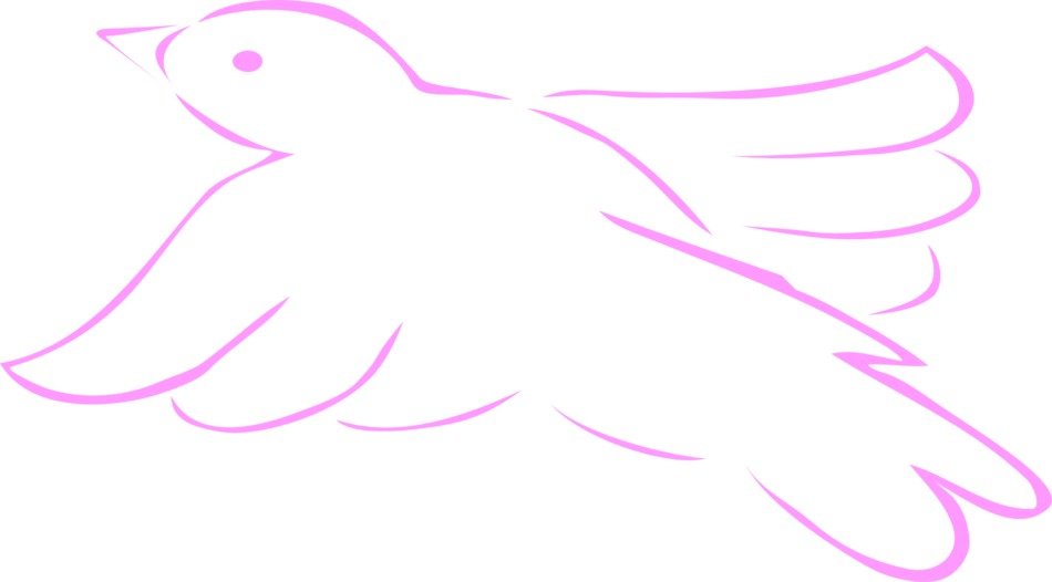 pink drawing of a bird on a white background