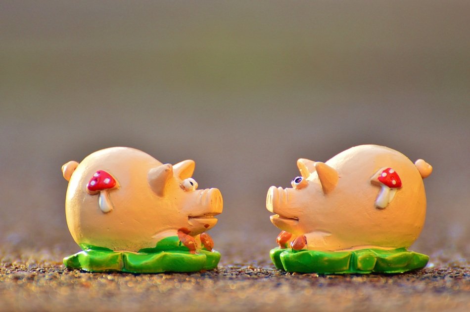 figures of piglets for good luck