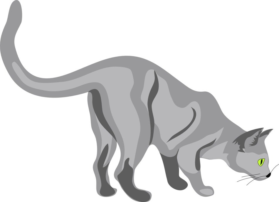 Clip Art of grey furious Sniffing Feline