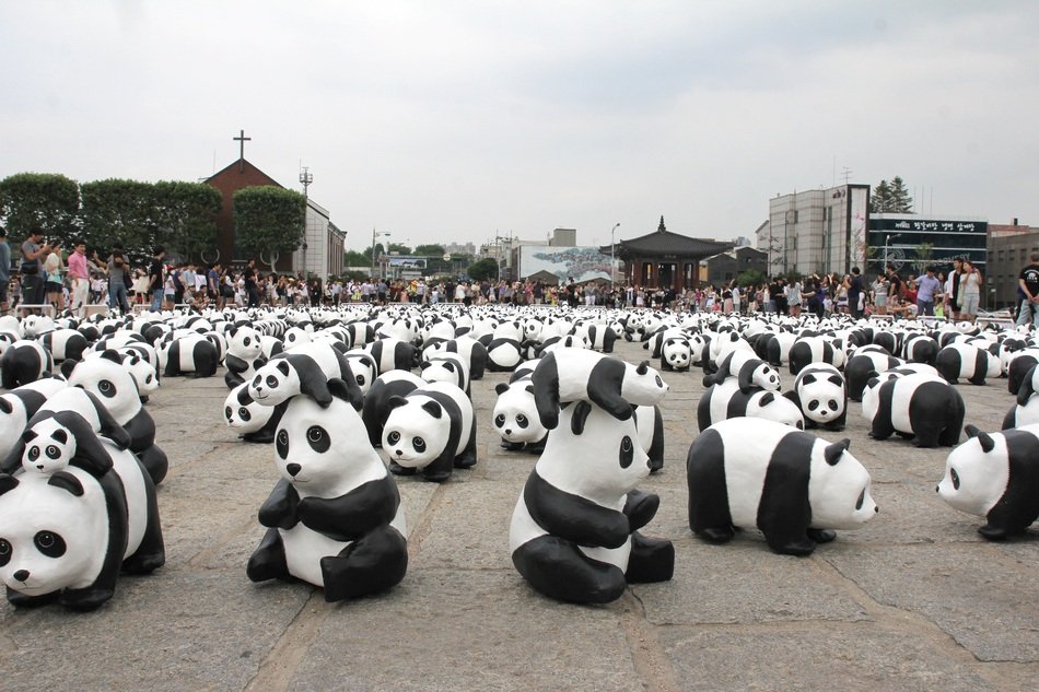 exhibition of pandas in korea