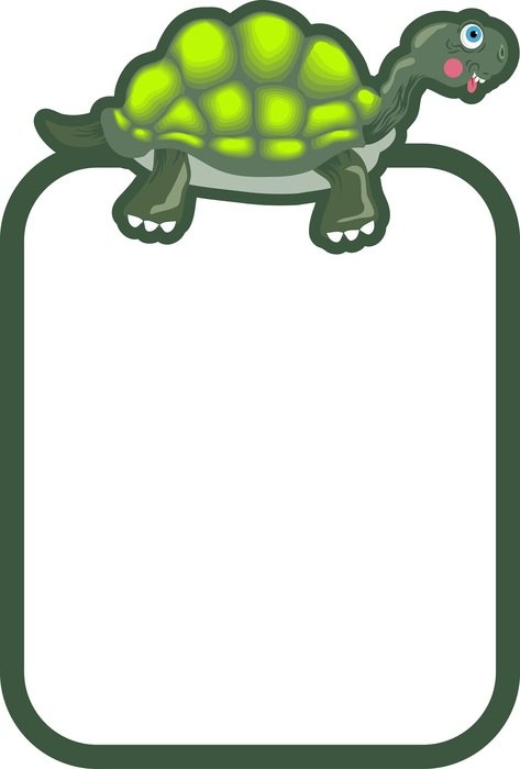 frame with a picture of a turtle
