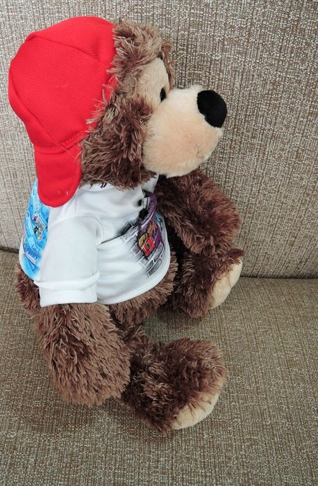 Plush Dog in red cap on the sofa