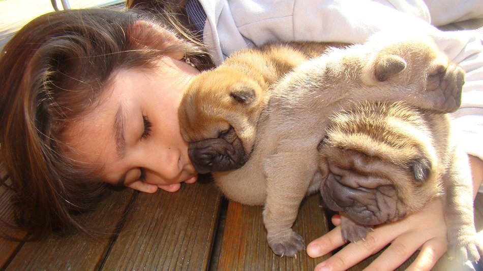 Girl with puppies