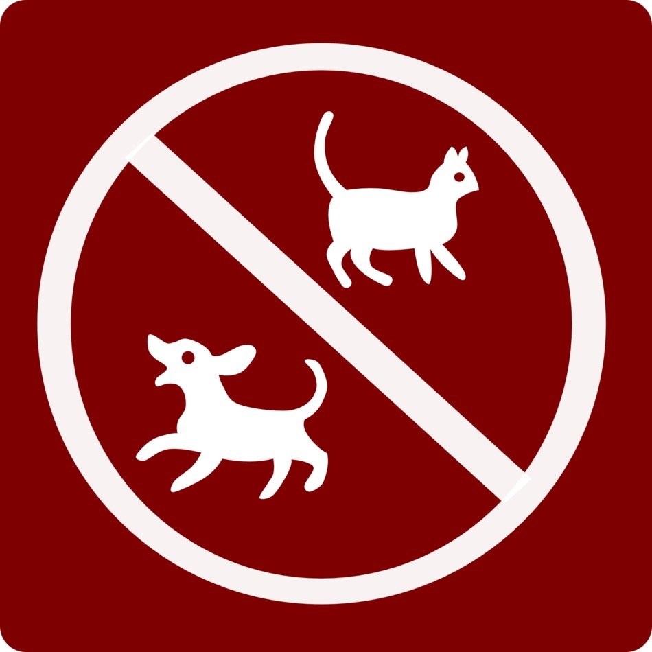 pet sign on red background