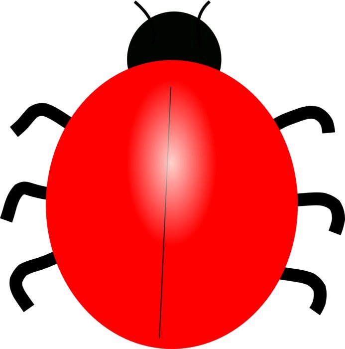 Clipart,picture of red ladybug
