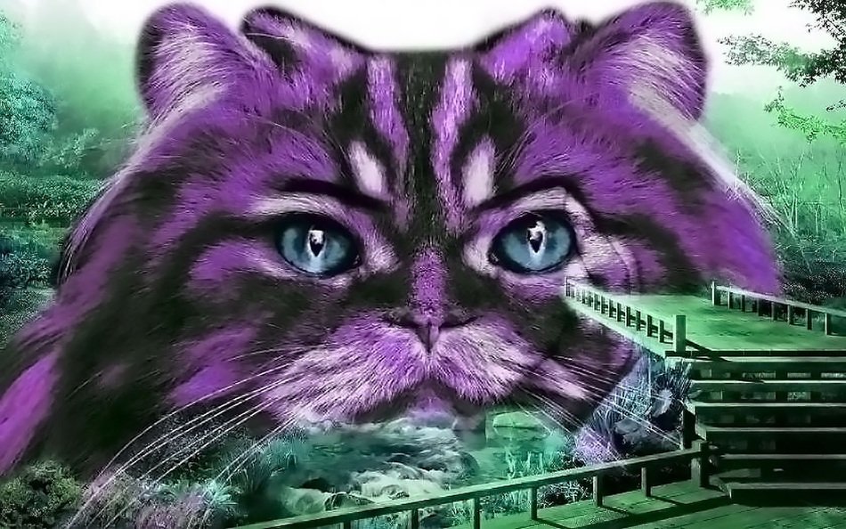 Surreal drawing of Purple Cat and bridge