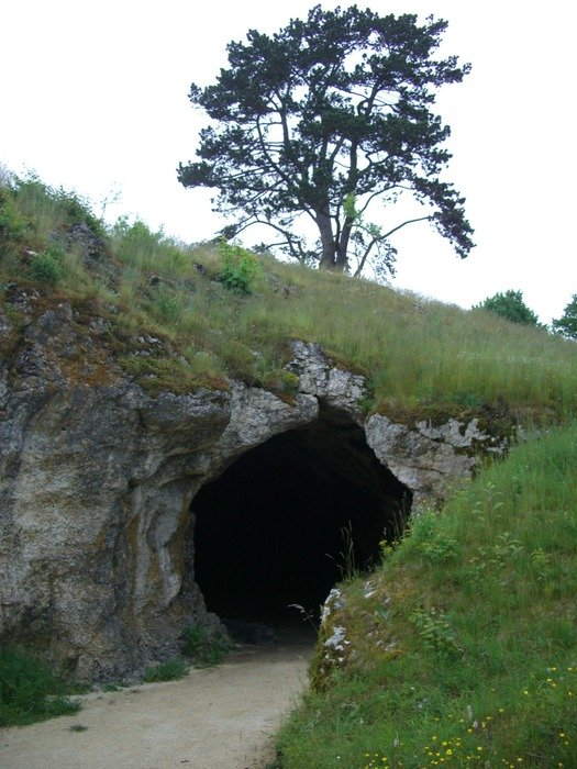 Bird Stove Cave