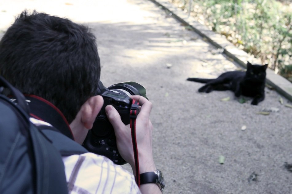 Photographer makes photo of black kitty