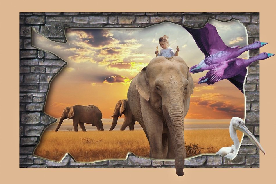 Fantastic İllustration of Safari