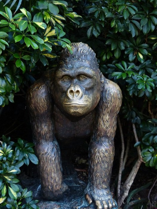 bronze monkey statue near the bush