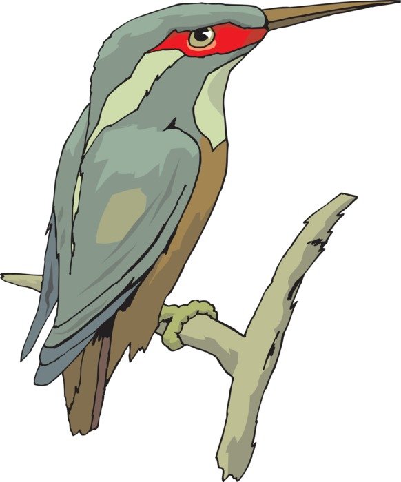 Clipart,picture of sitting on the branch kingfisher