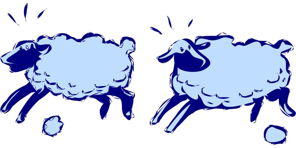 Sheep Running drawing