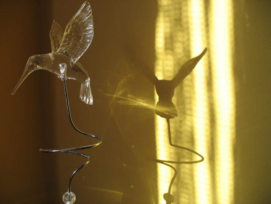 transparent hummingbird figurine