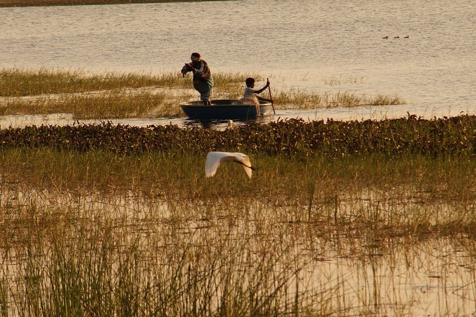 bird flying over the lake on the background of the fishermen in the boat