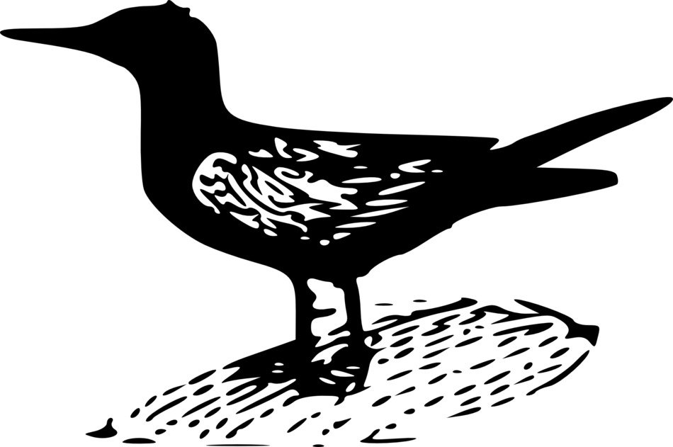 black drawing of a bird on the grass