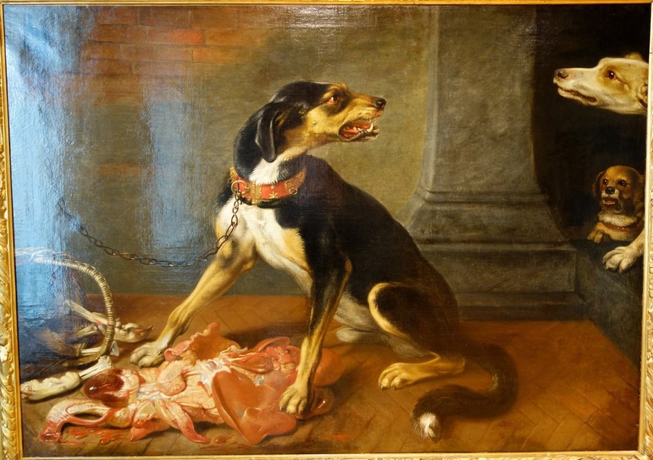 picture with attacking dogs of David de Konink