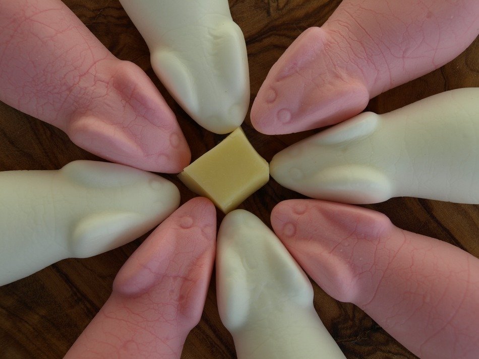 sweets in the form of mice