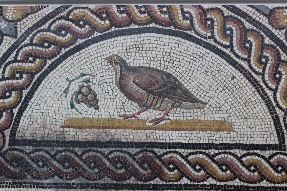 birds as a motive of ancient mosaic