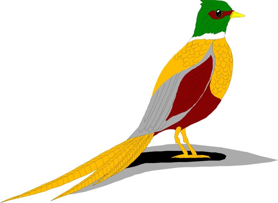 drawing colored birds on the floor
