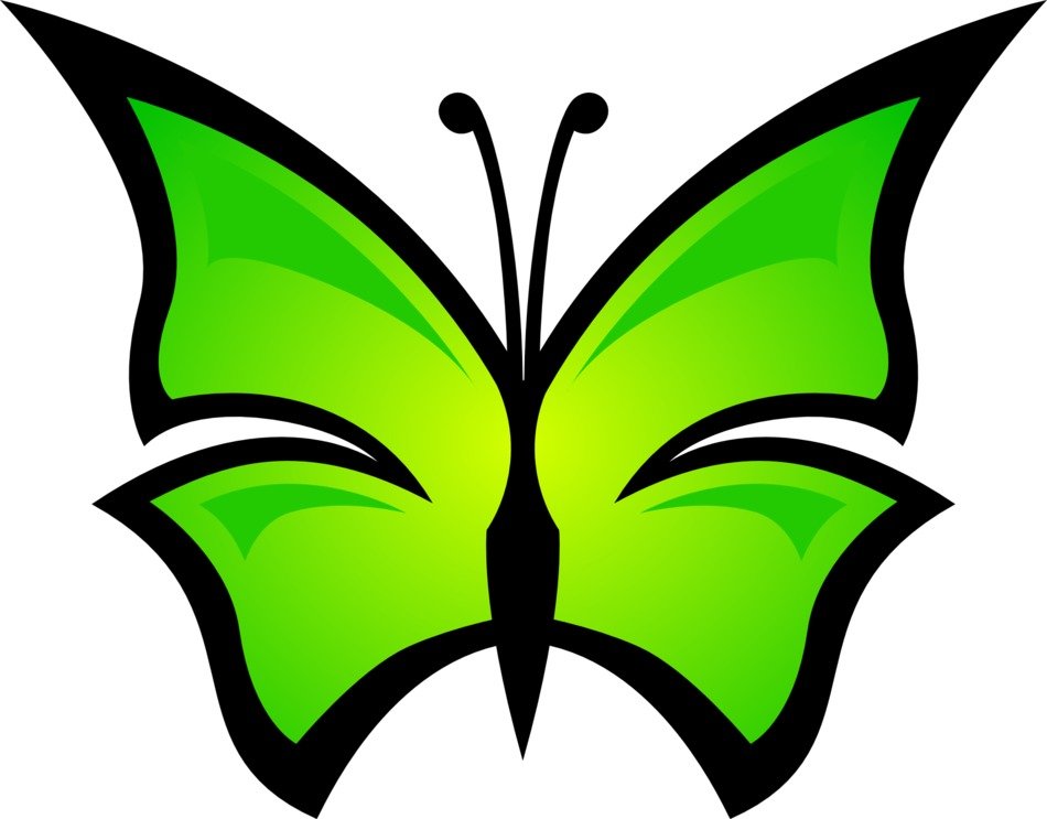 Picture of green butterfly
