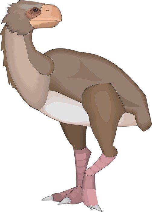 graphic image of a large ancient bird