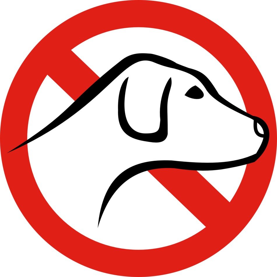 No Dogs Symbol drawing