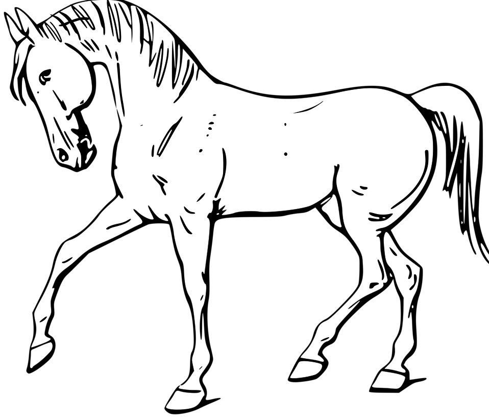 Horse Outline Clip Art free image download