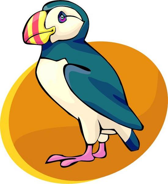 Puffin Clip Art free image download