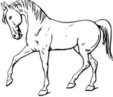 Horse Outline Clip Art