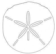 Sand Dollar Clip Art
