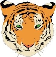 Tiger face red drawing