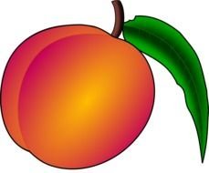 Peach Clip Art drawing