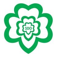 drawing of green 100 Logo