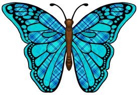 Butterfly as an illustration