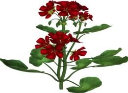 digital plant with red flowers