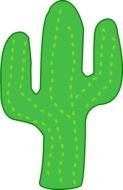 drawing of a green cactus on a white background