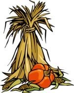 Corn Stalk Clip Art N3