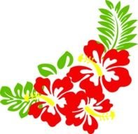 Hawaiian Flower Border Clip Art