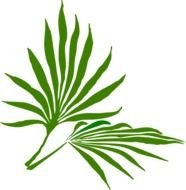 Palm Sunday Clip Art N4